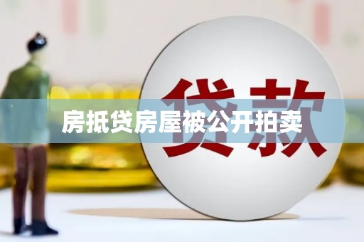 遂平房抵贷房屋被公开拍卖