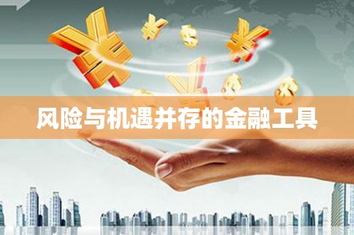 安徽风险与机遇并存的金融工具